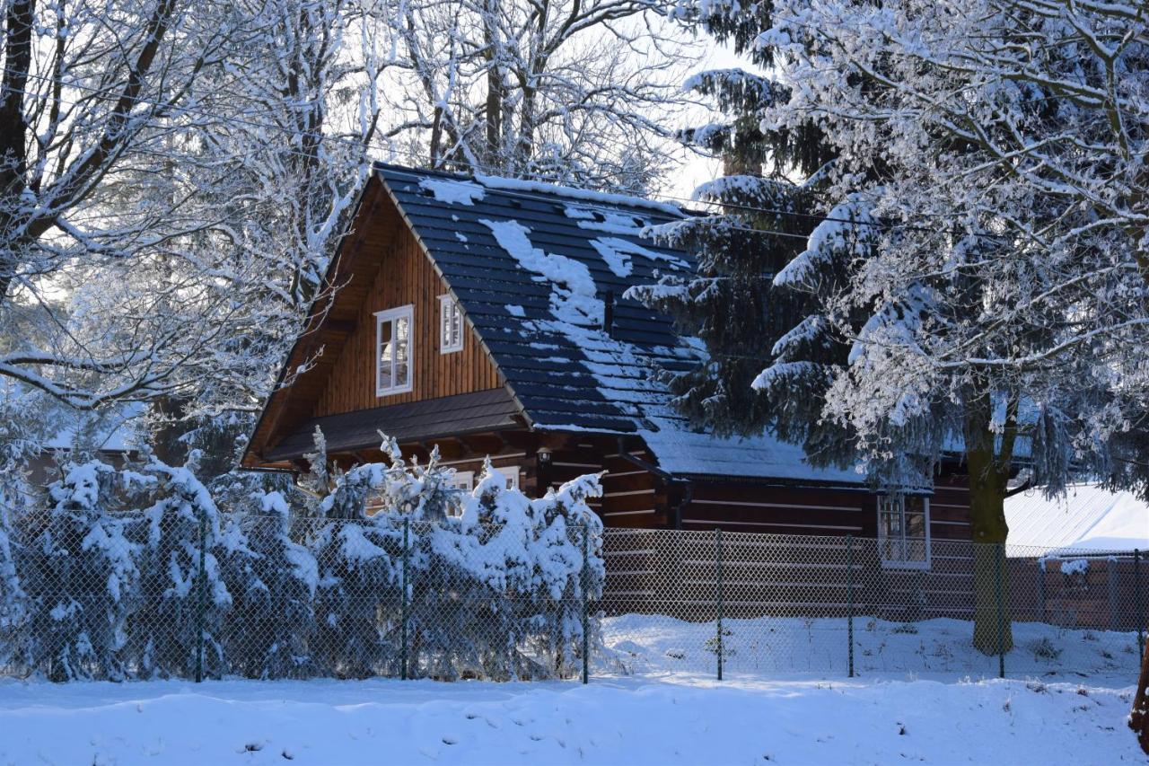Roubenka Stepanka Villa Svratka Exterior photo